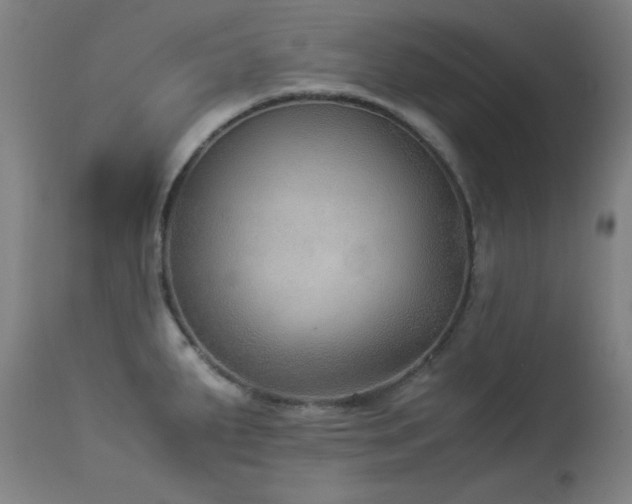 X0000114171287200910081513