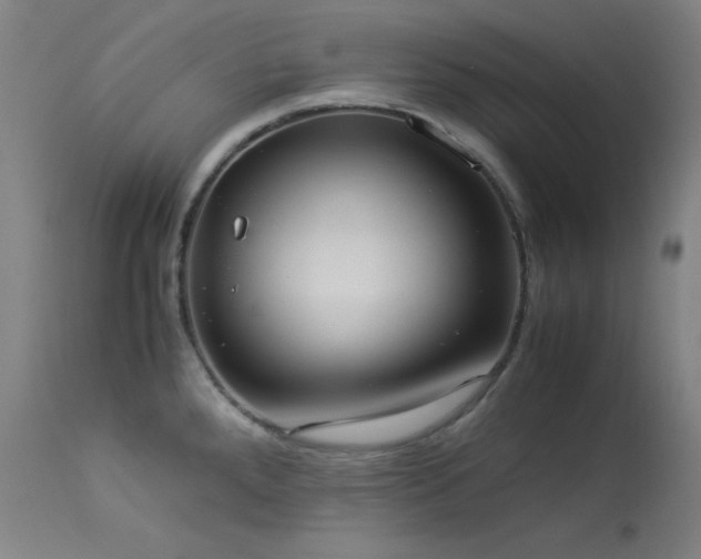 X0000114171288200910081513