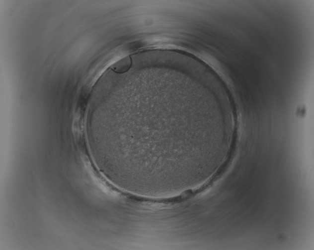 X0000114171289200910081513