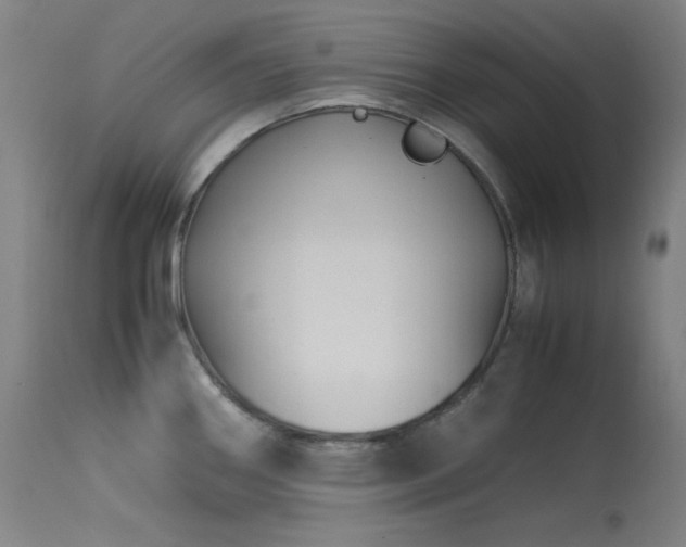 X0000114171290200910081513