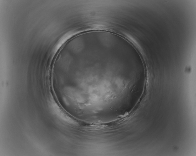 X0000114171291200910081513