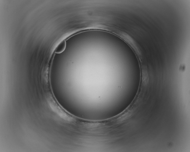 X0000114171292200910081513