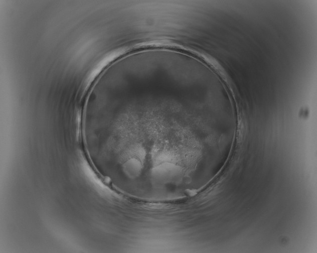 X0000114171295200910081513