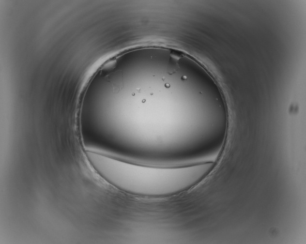 X0000114171296200910081513