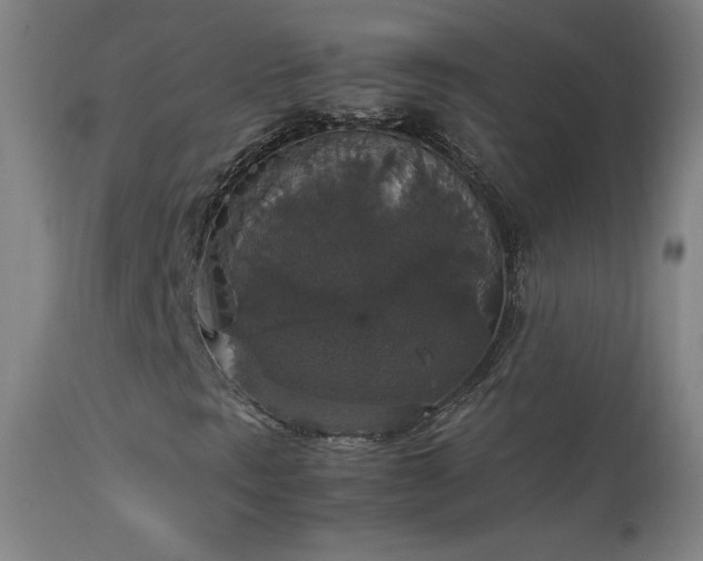 X0000114171297200910081513