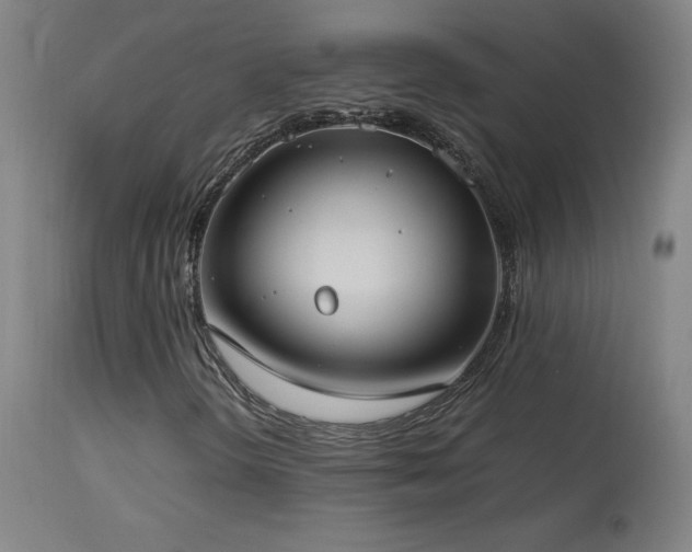 X0000114171298200910081513