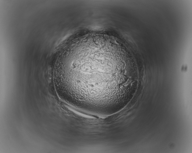 X0000114171301200910081513