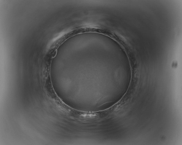 X0000114171303200910081513