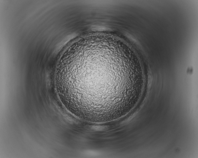 X0000114171305200910081513