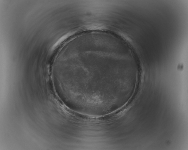 X0000114171306200910081513