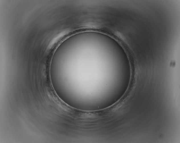 X0000114171307200910081513