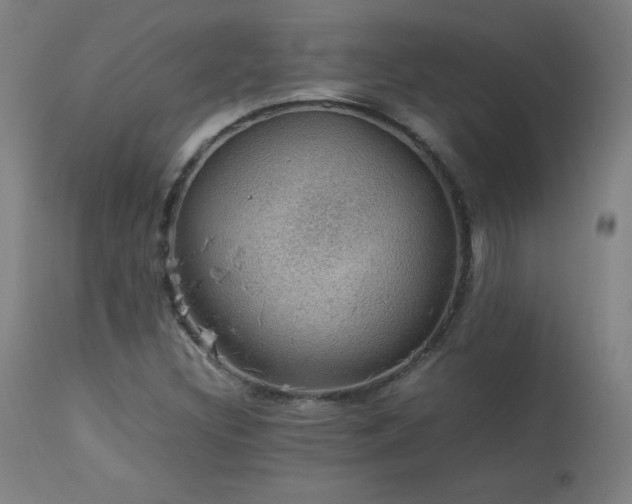X0000114171308200910081513