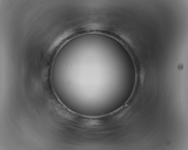X0000114171309200910081513
