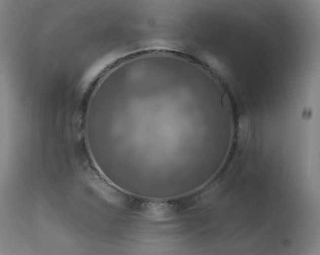 X0000114171310200910081513