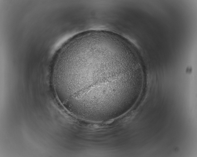 X0000114171311200910081513