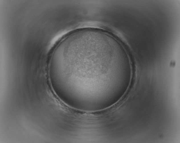 X0000114171312200910081513