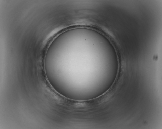 X0000114171315200910081513