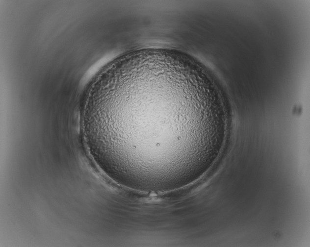 X0000114171317200910081513