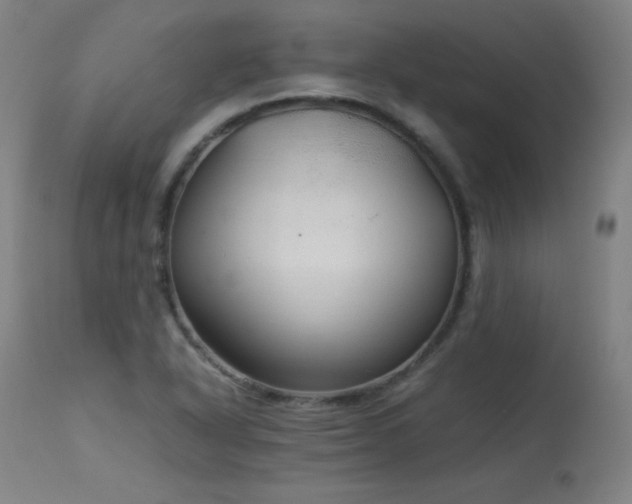 X0000114171318200910081513