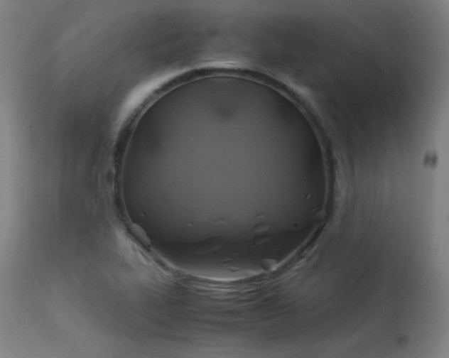 X0000114171319200910081513