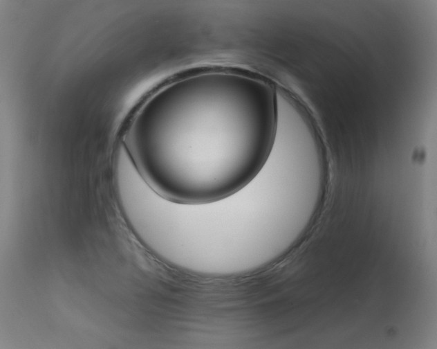 X0000114171320200910081513