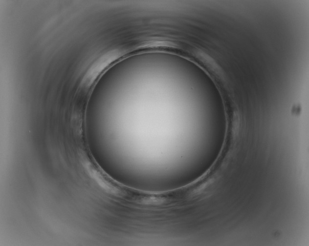 X0000114171321200910081513