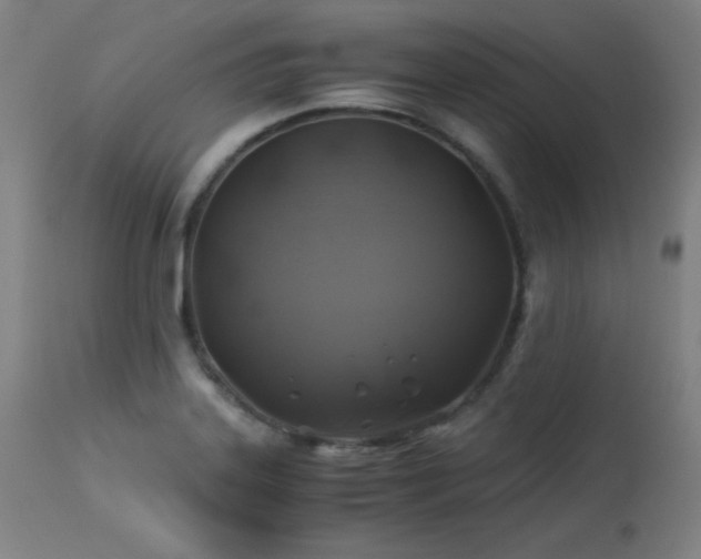 X0000114171323200910081513