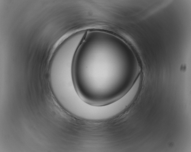 X0000114171324200910081513