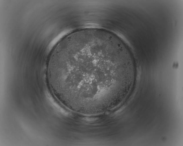 X0000114171325200910081513