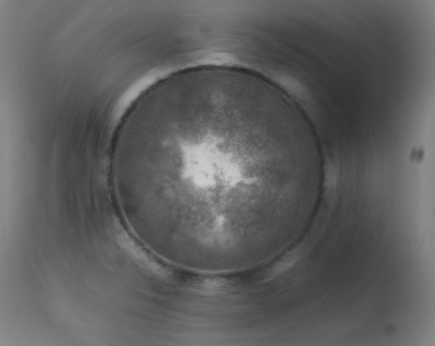 X0000114171326200910081513