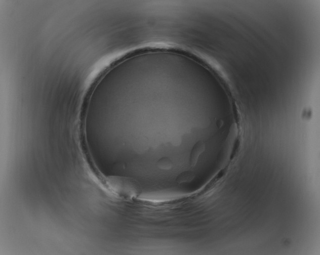 X0000114171327200910081513