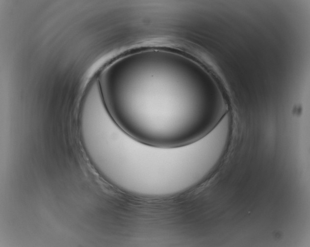 X0000114171328200910081513