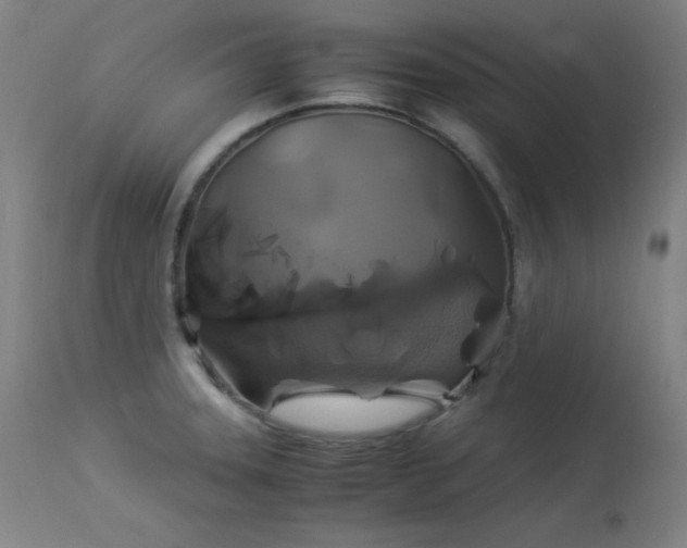 X0000114171331200910081513