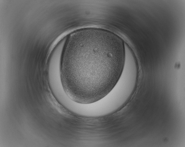 X0000114171332200910081513