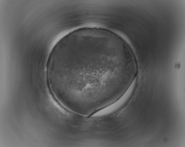 X0000114171335200910081513