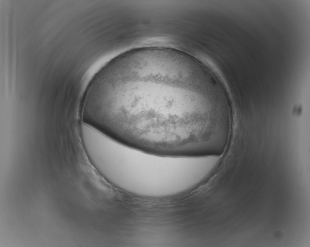 X0000114171336200910081513
