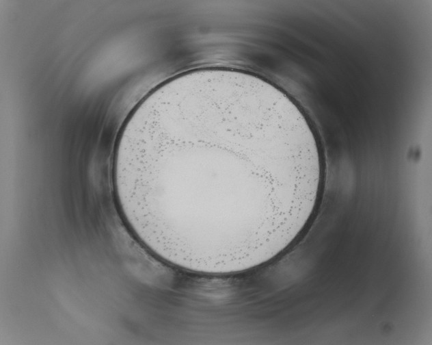 X0000114171338200910081513