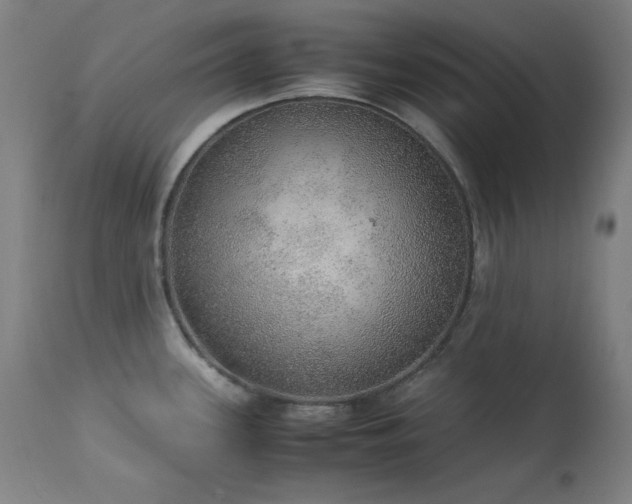 X0000114171339200910081513