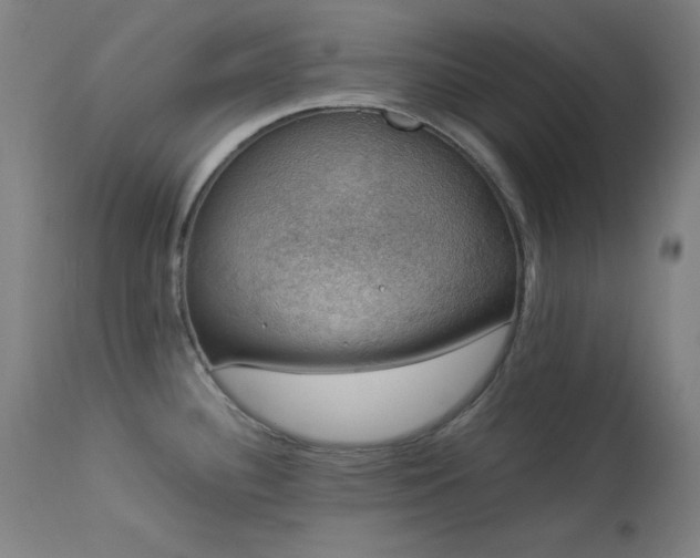 X0000114171340200910081513