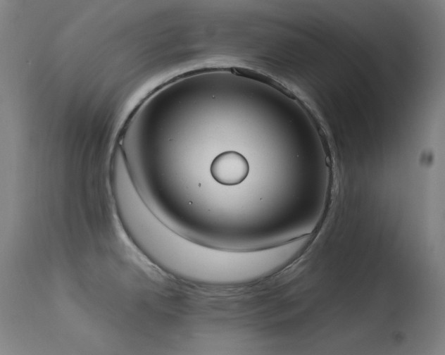 X0000114171342200910081513