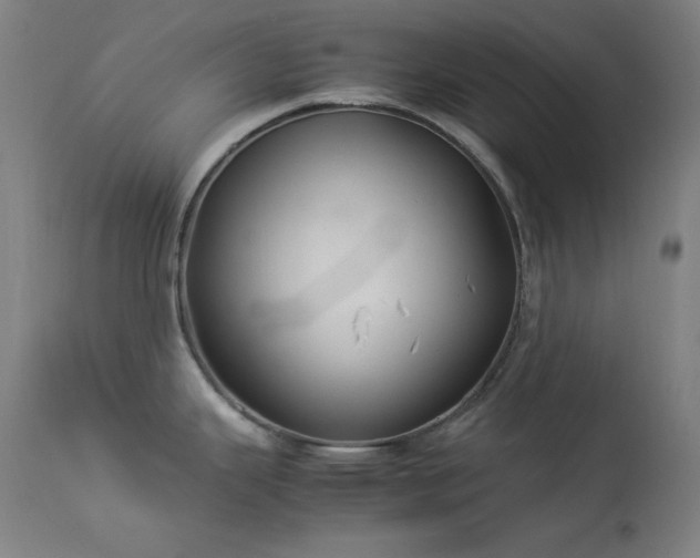 X0000114171343200910081513