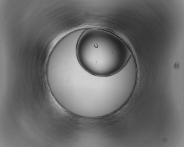 X0000114171344200910081513