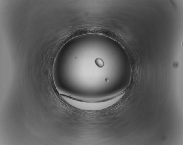 X0000114171345200910081513