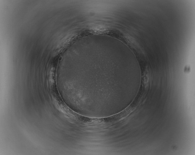 X0000114171346200910081513