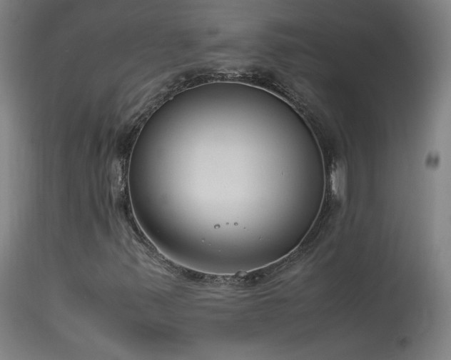 X0000114171347200910081513