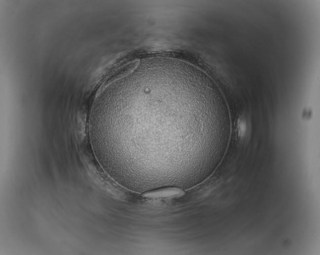 X0000114171348200910081513