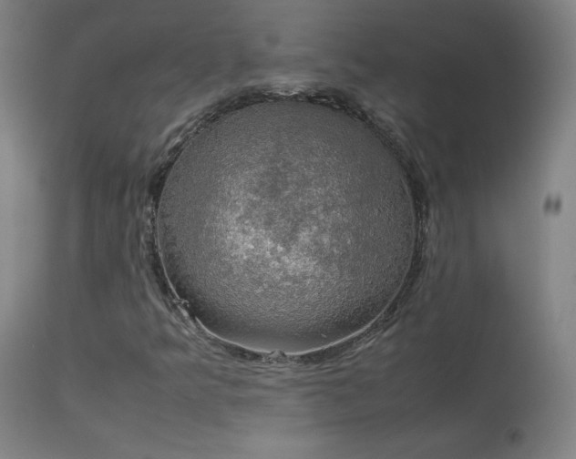 X0000114171349200910081513