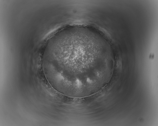 X0000114171350200910081513