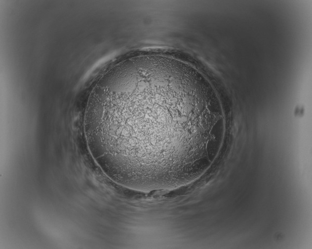 X0000114171351200910081513