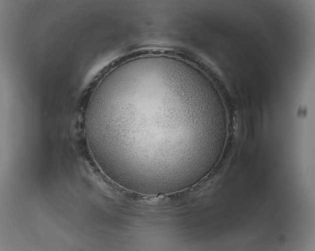 X0000114171352200910081512